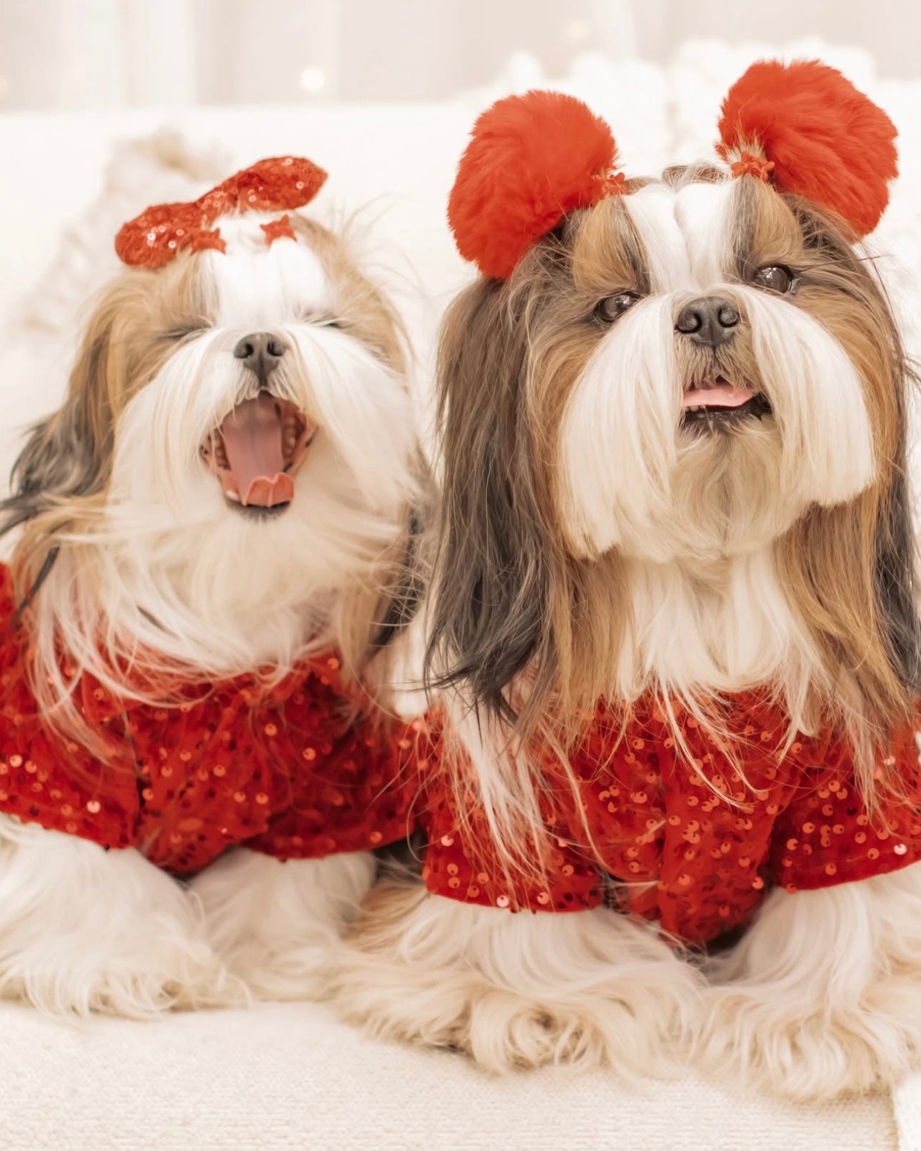 Red Velvet Sequin Shirt