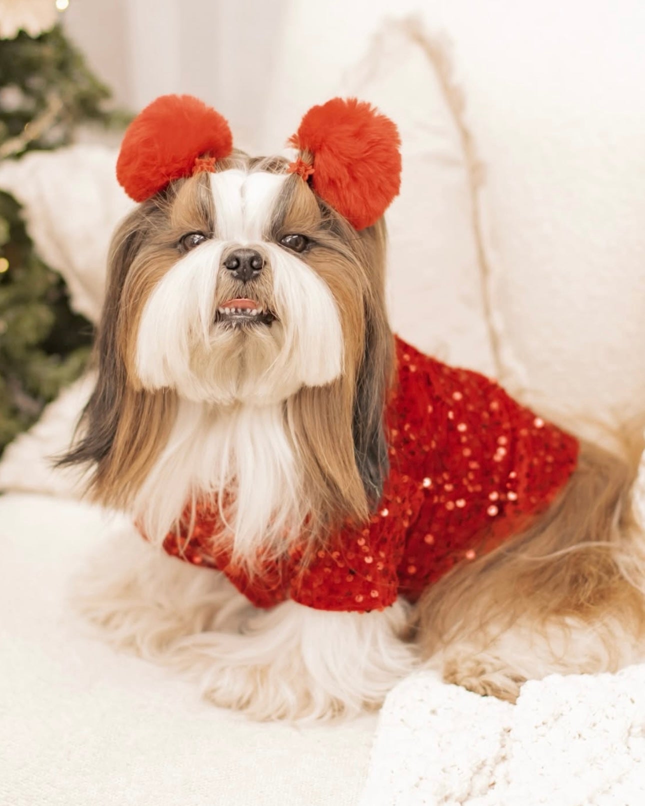 Red Velvet Sequin Shirt