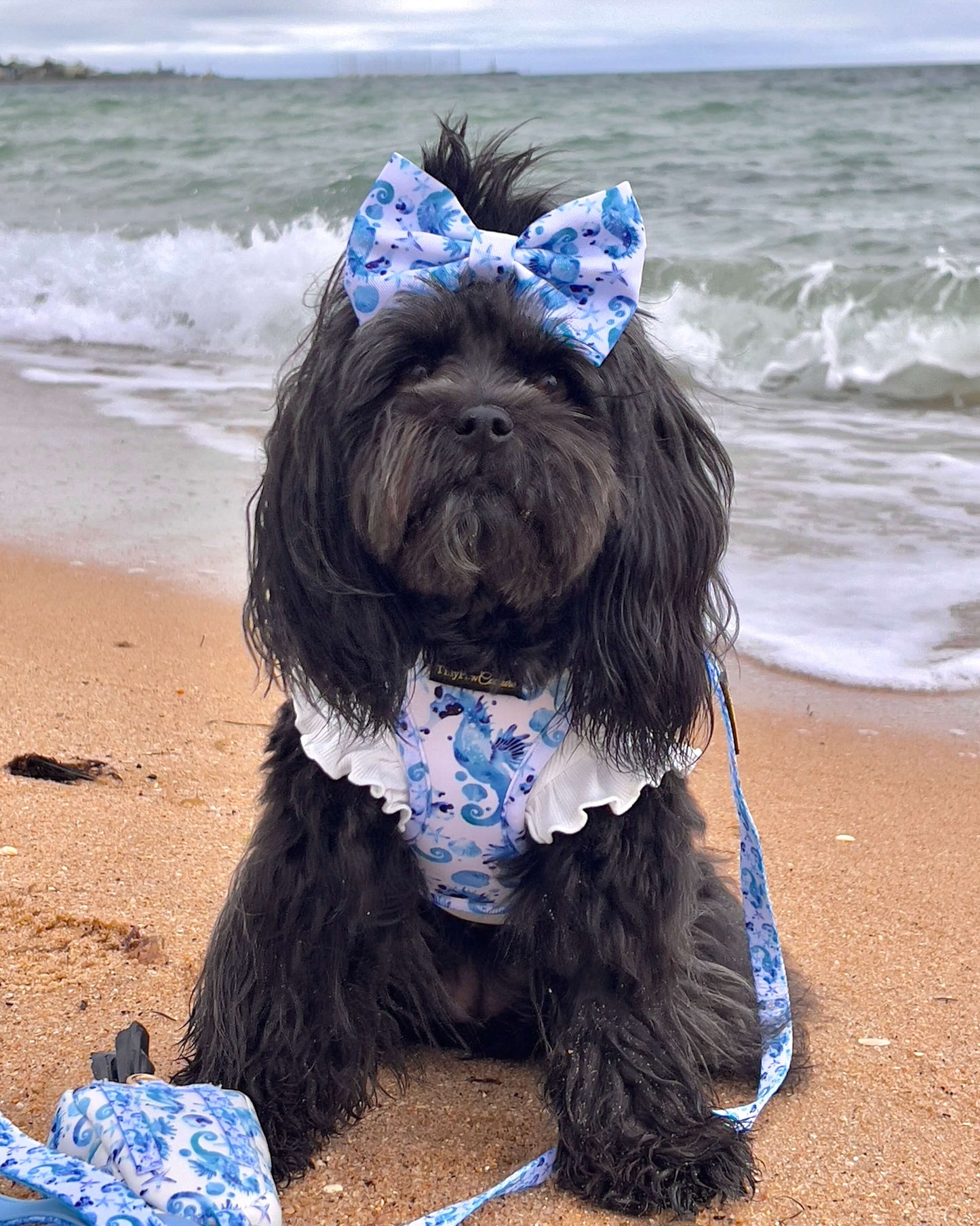 Wet'n'Wild Seahorse Set