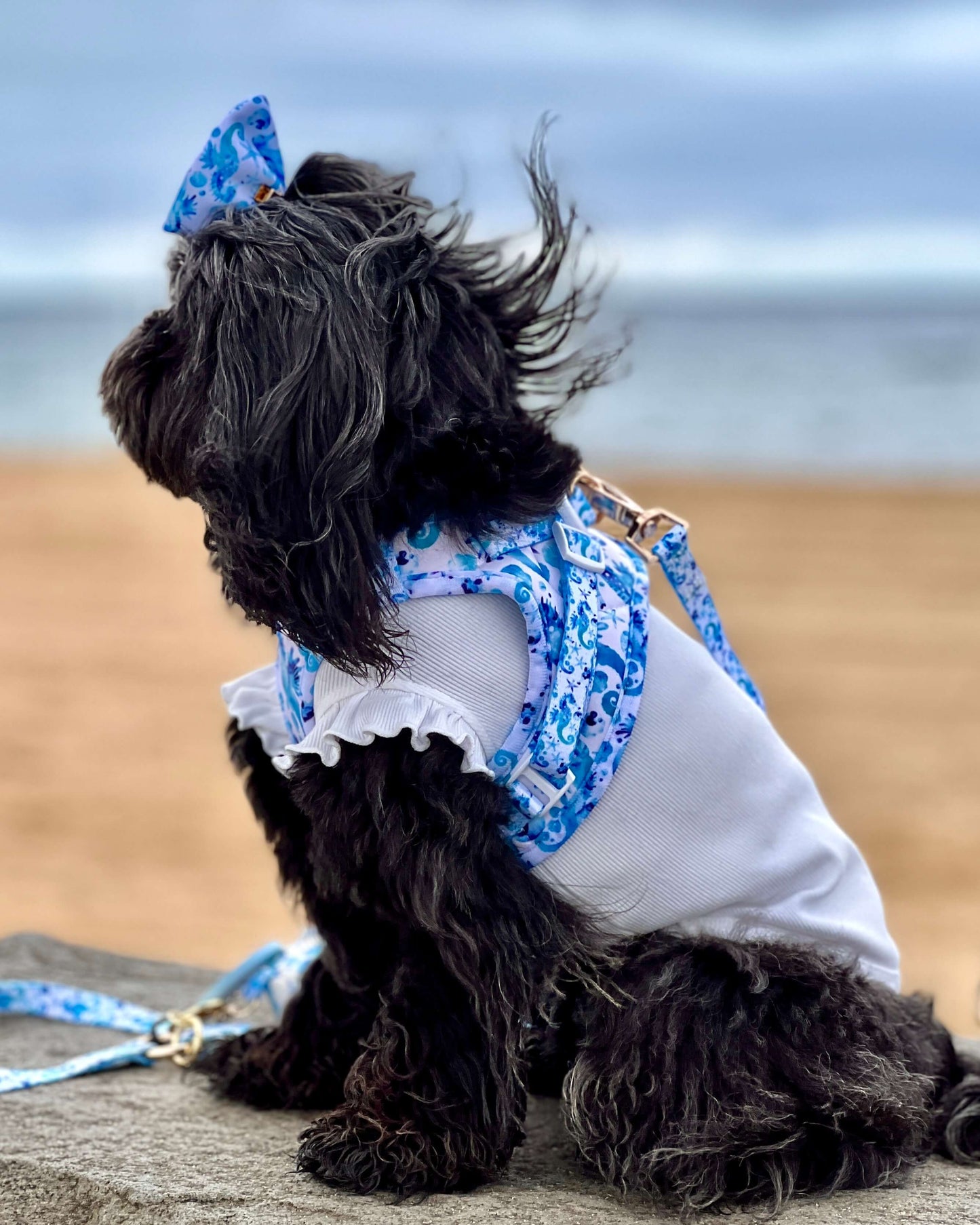 Wet'n'Wild Seahorse Set