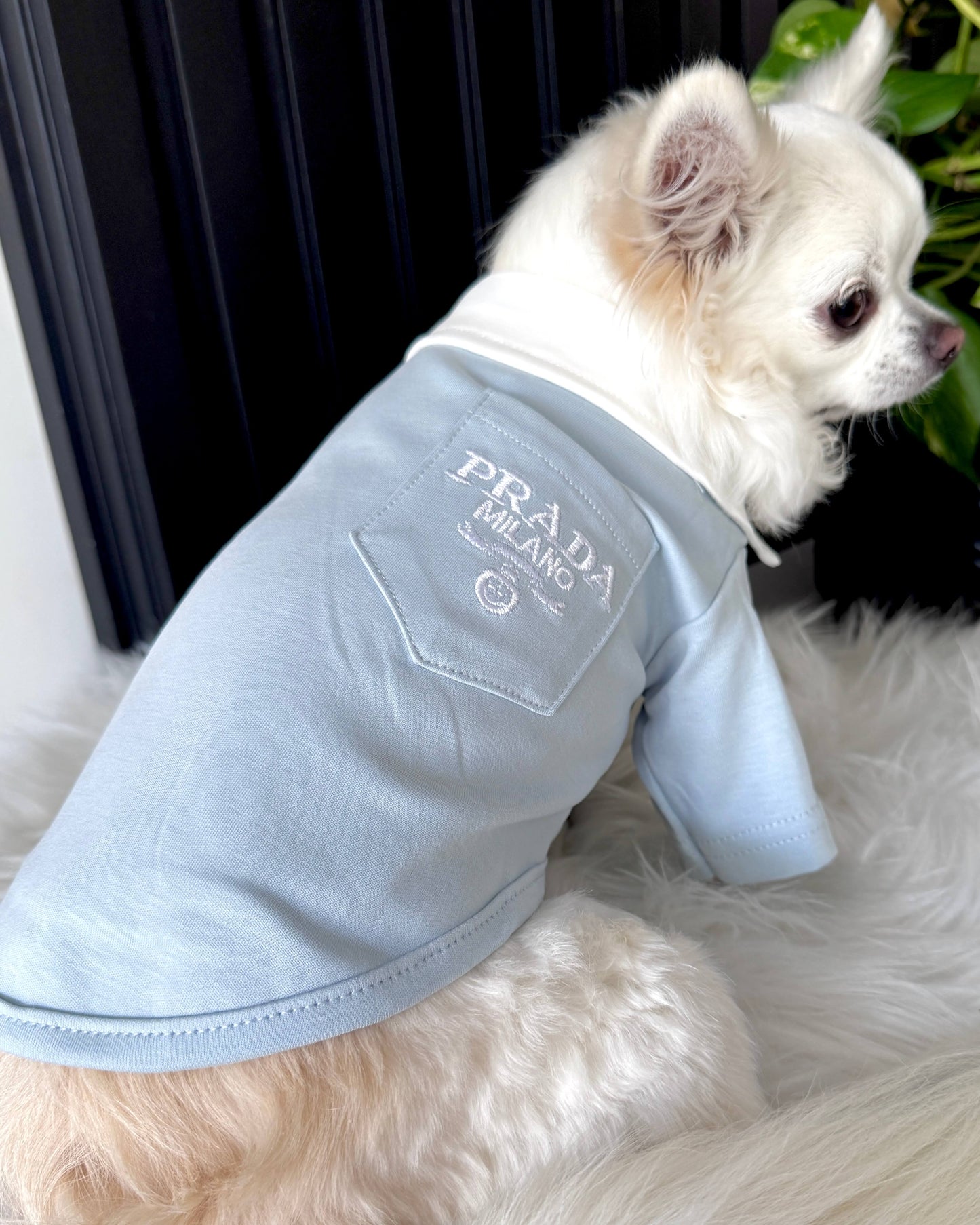 Pawda Polo Shirt Blue