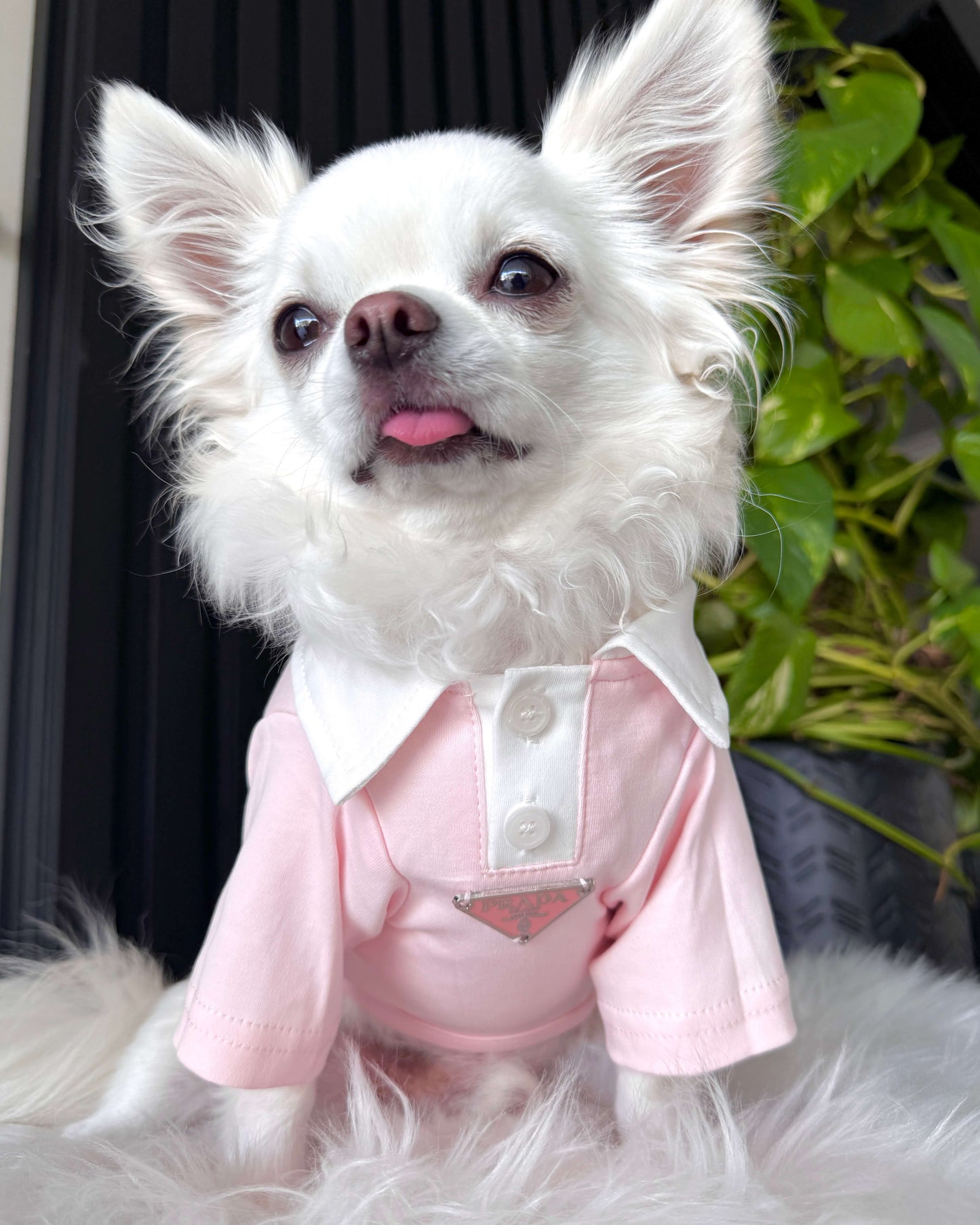 Pawda Polo Shirt Pink