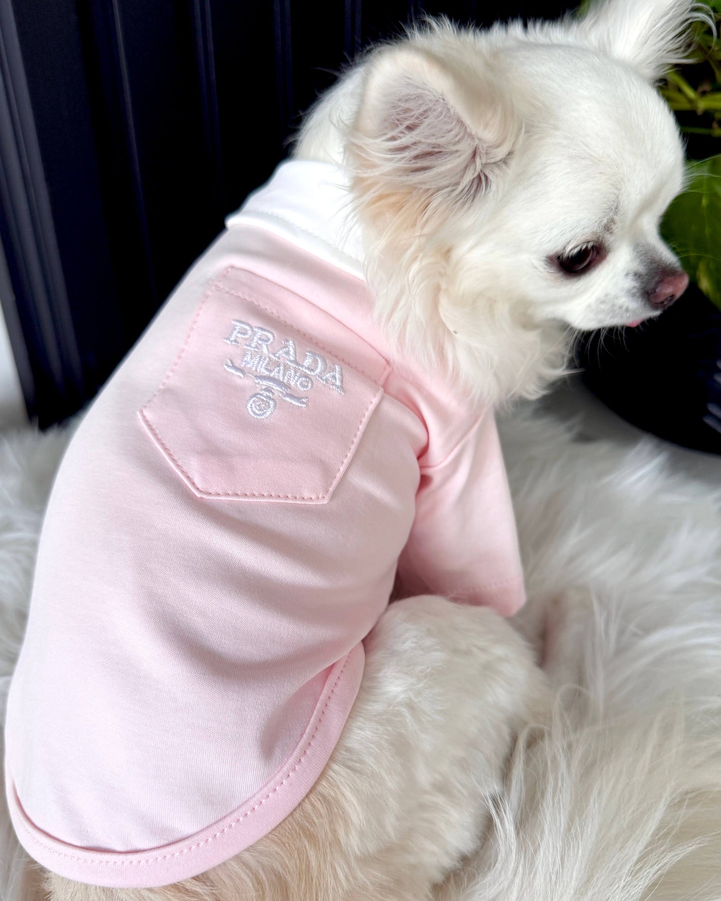 Pawda Polo Shirt Pink