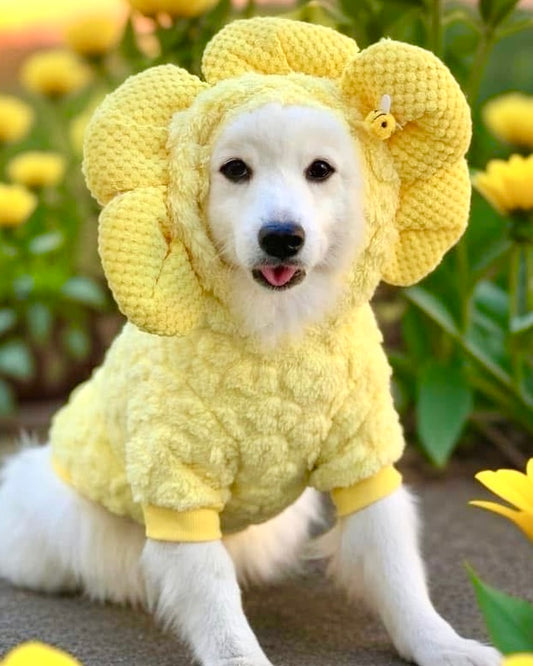 Sweet Sunflower Hoodie