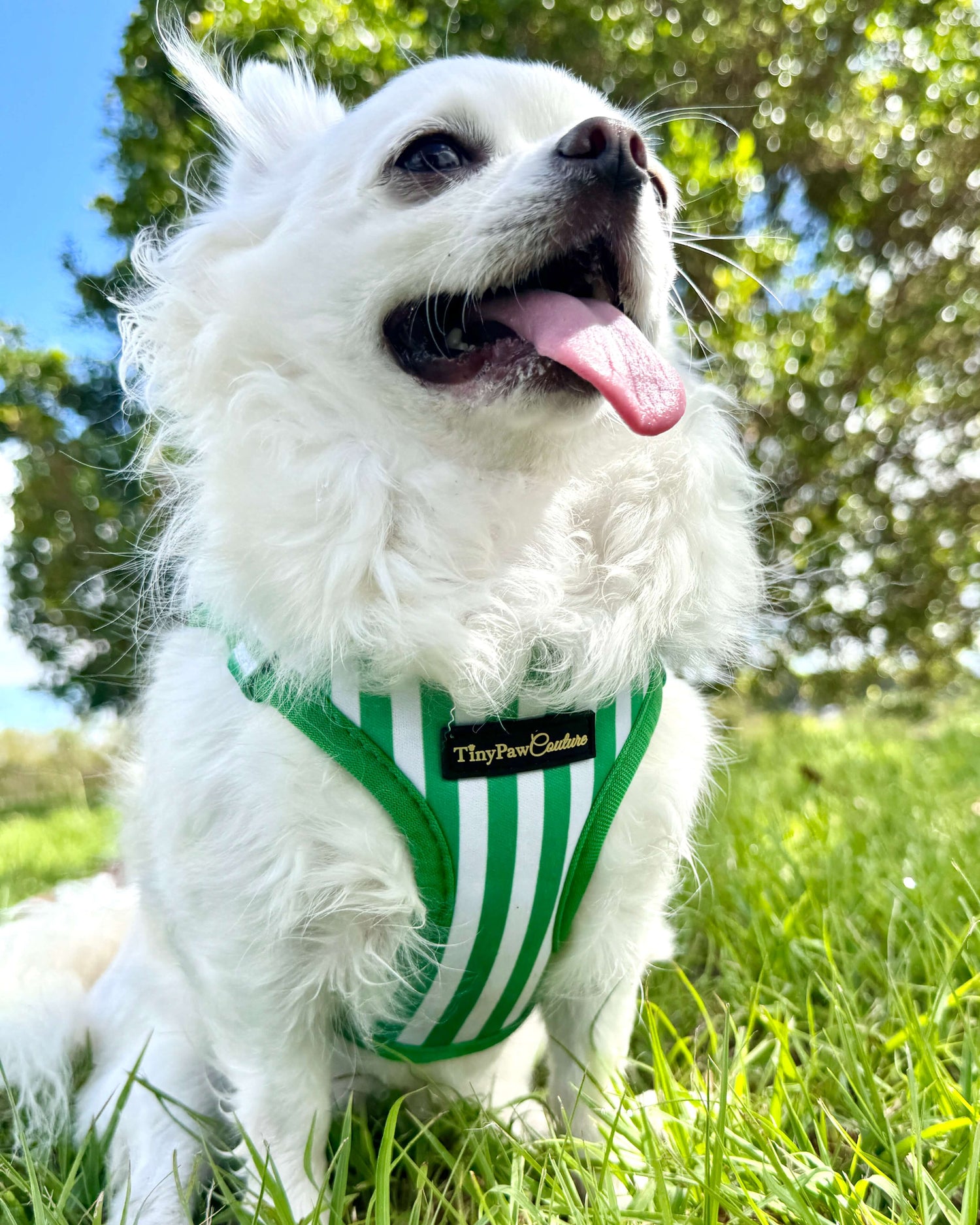 Wet'n'Wild Green Stripes