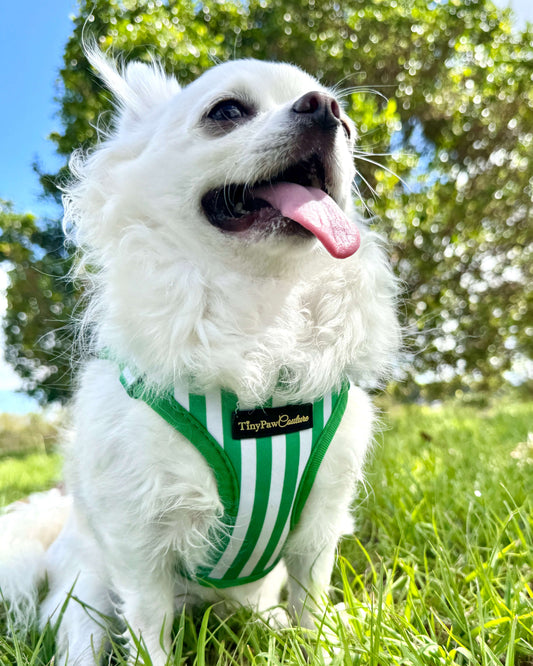 Wet'n'Wild Green Stripes Step In Vest Harness