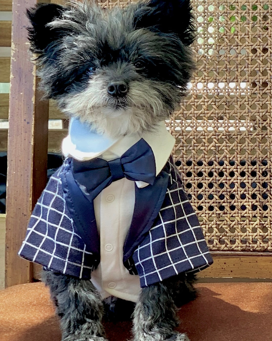 The Winston Tuxedo Jacket