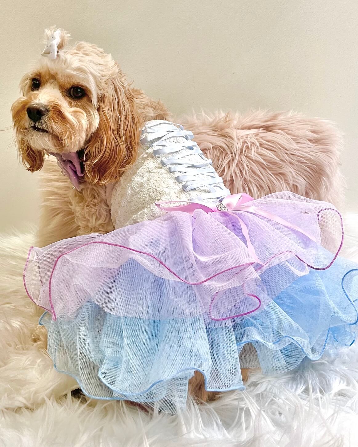 Yolanda Deluxe Dress