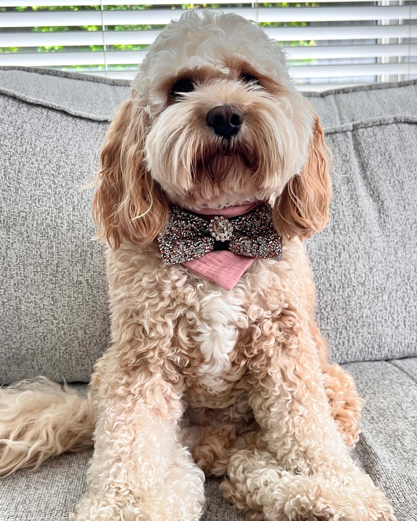 Amari Deluxe Bandana Coffee
