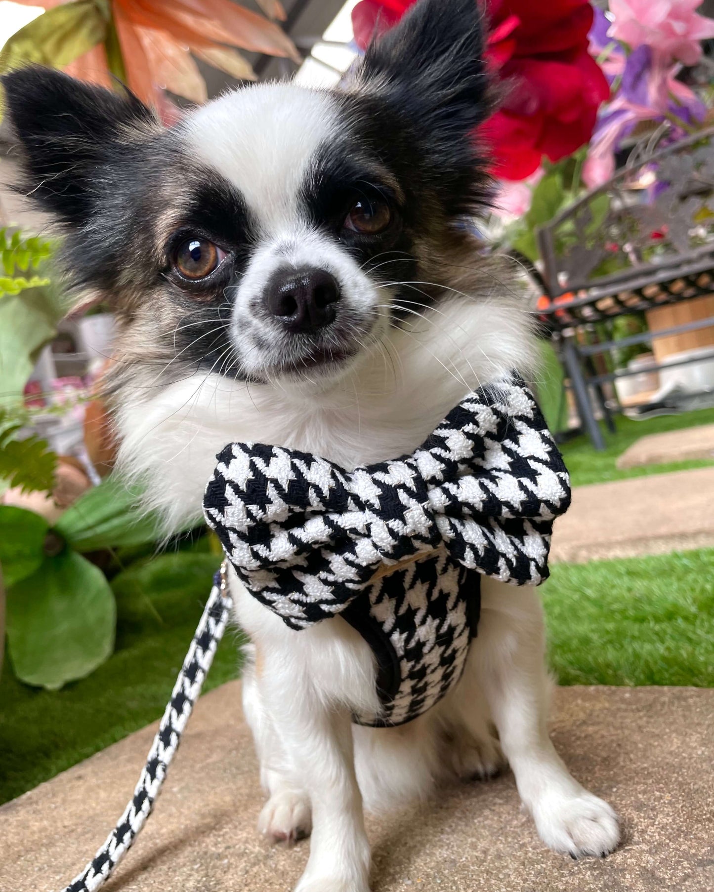 Little Luxe Houndstooth Bow