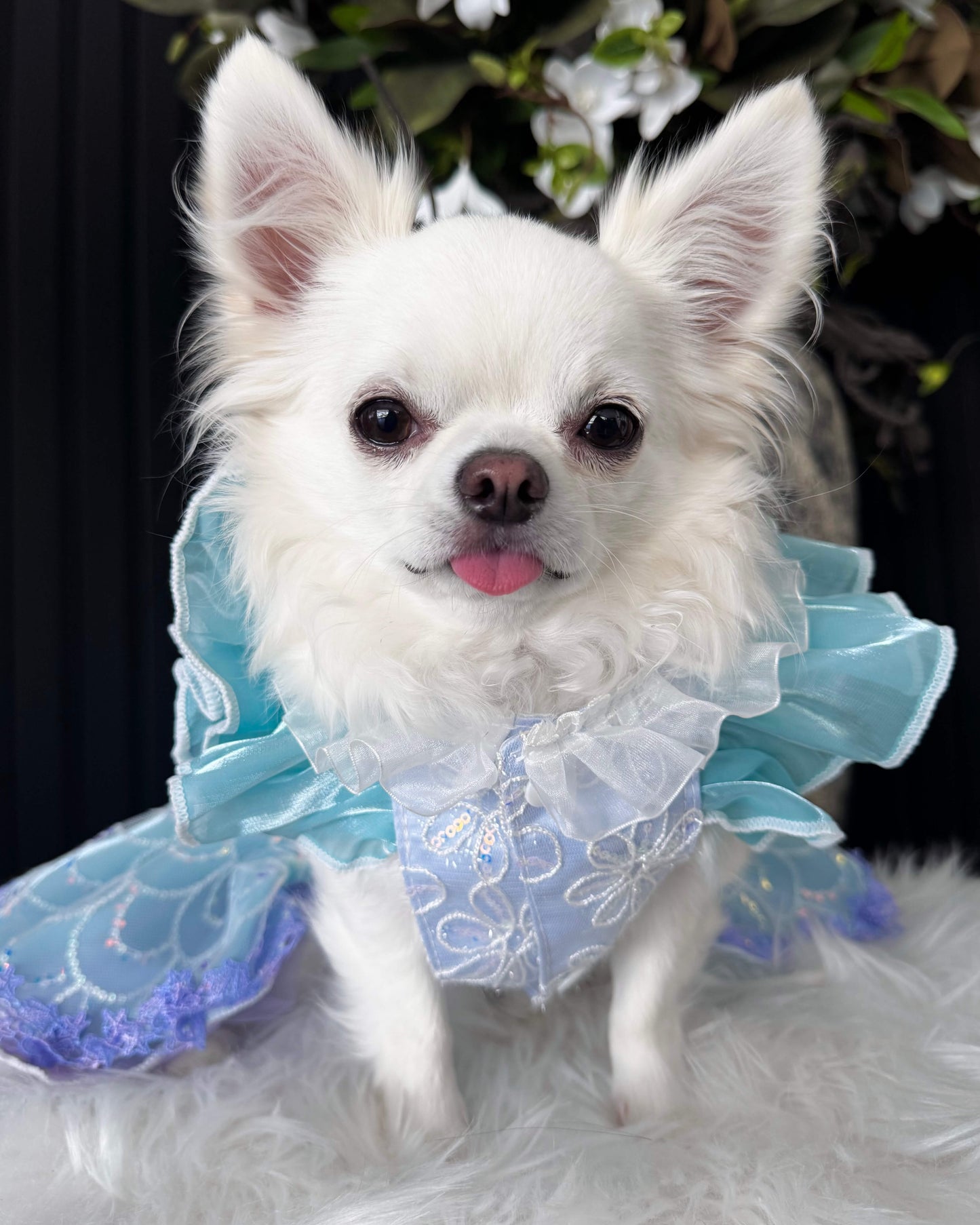 Luna Royale Mermaid Luxury Gown