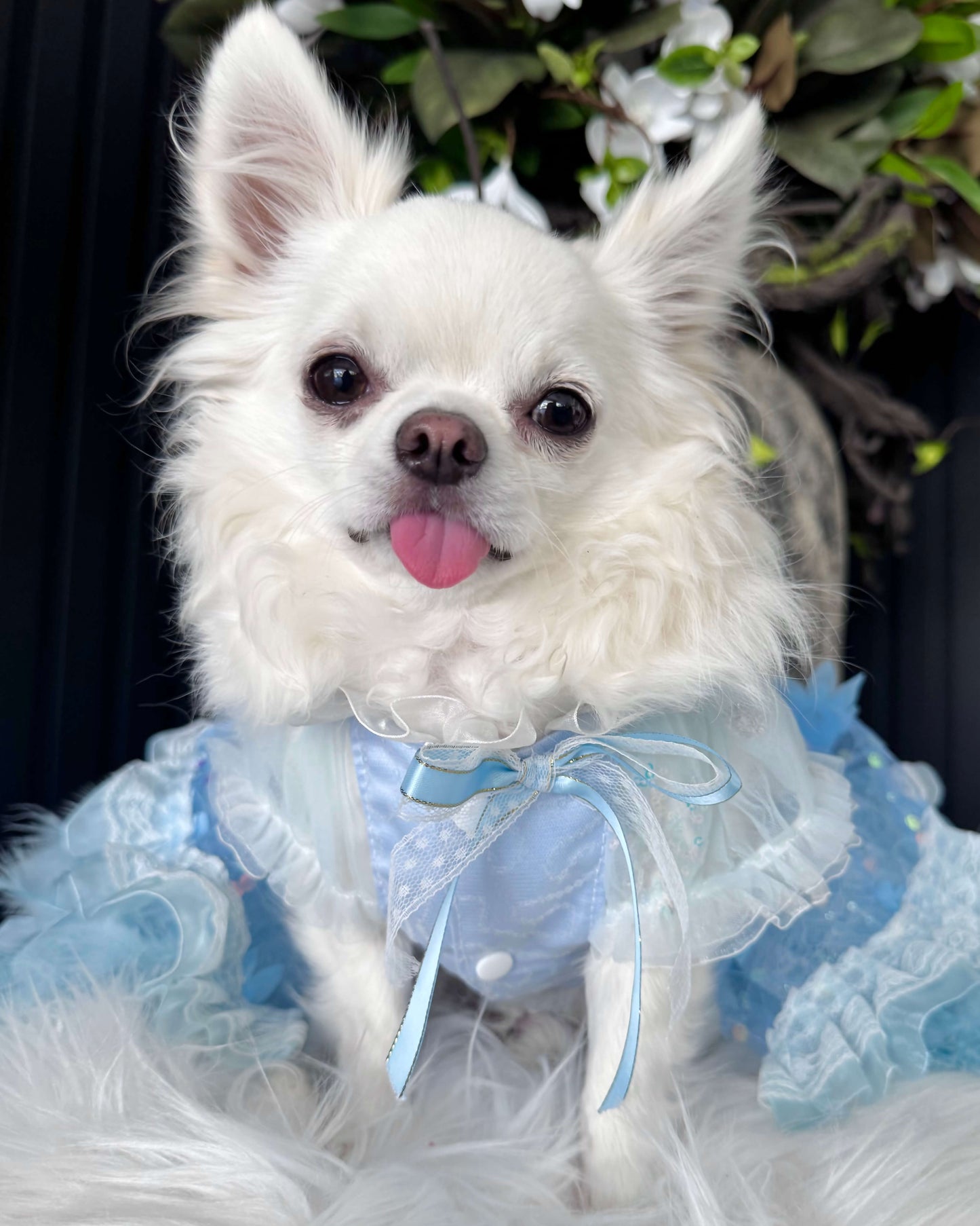 Plume Impériale Luxury Gown