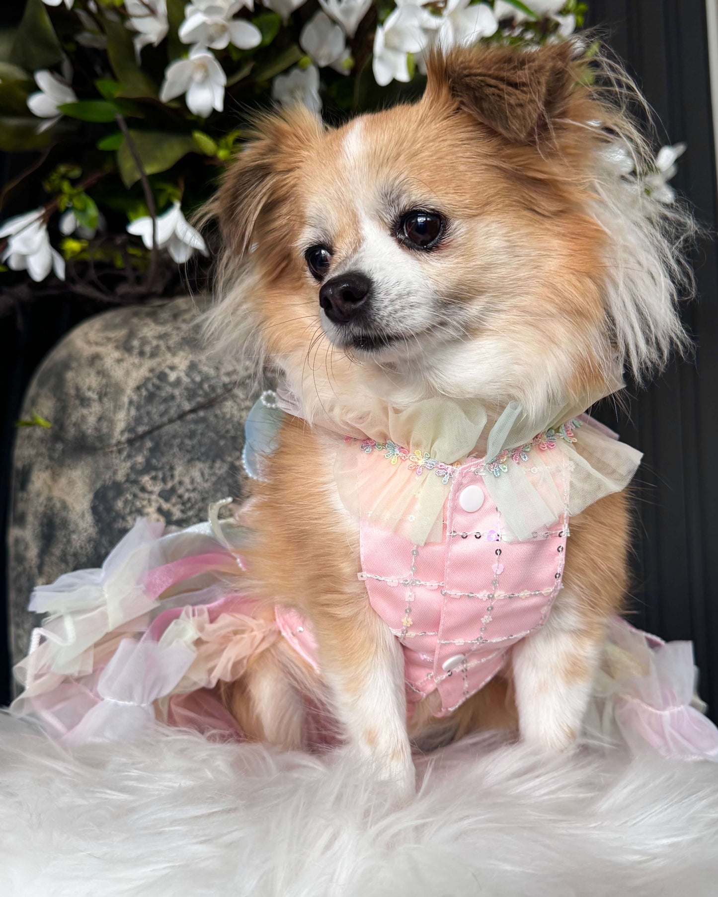 Elysium Fairy Luxury Gown