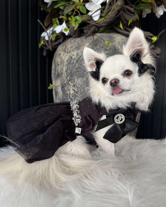 Noir Atelier Couture Dress