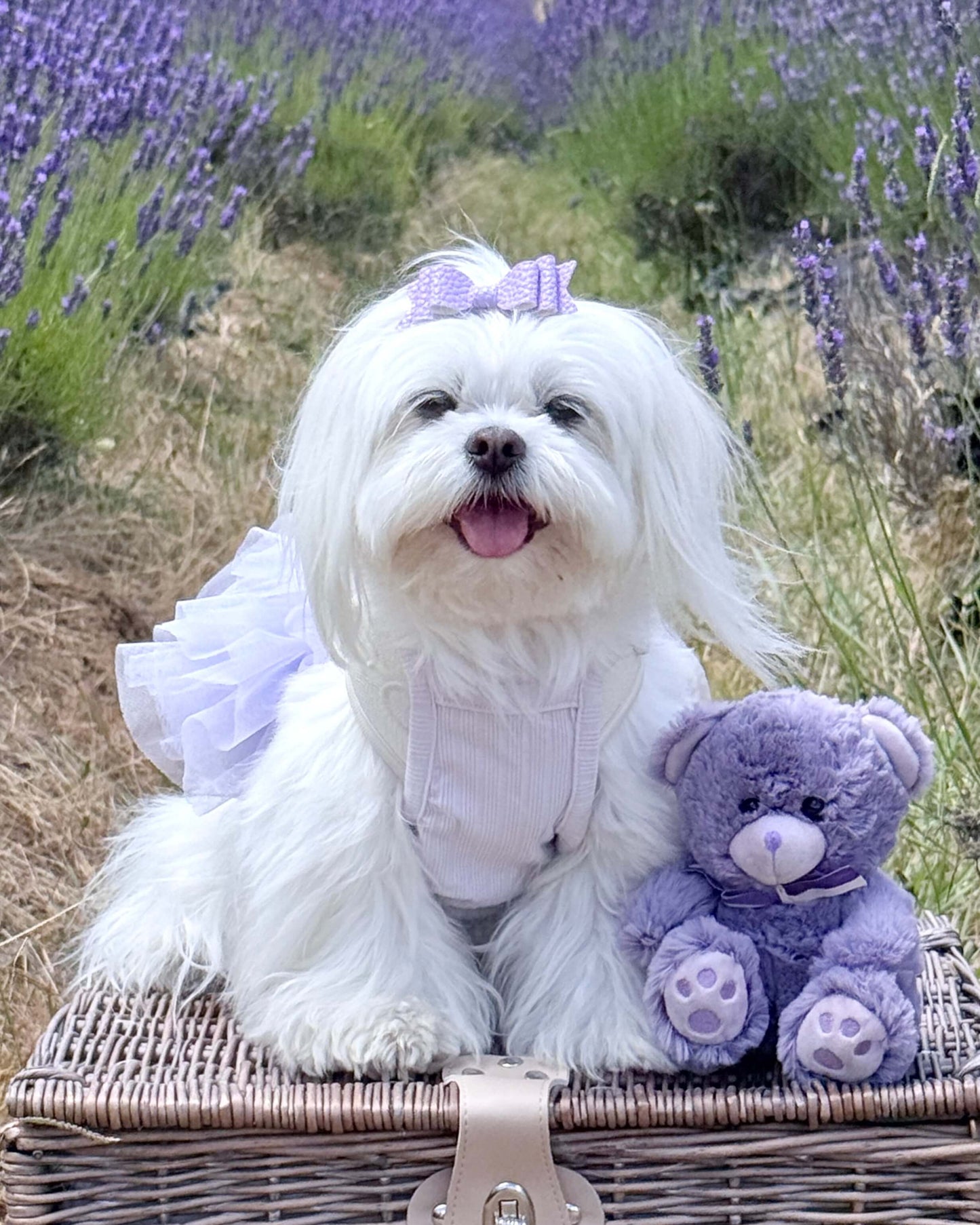 Maya Tutu Dress Lilac