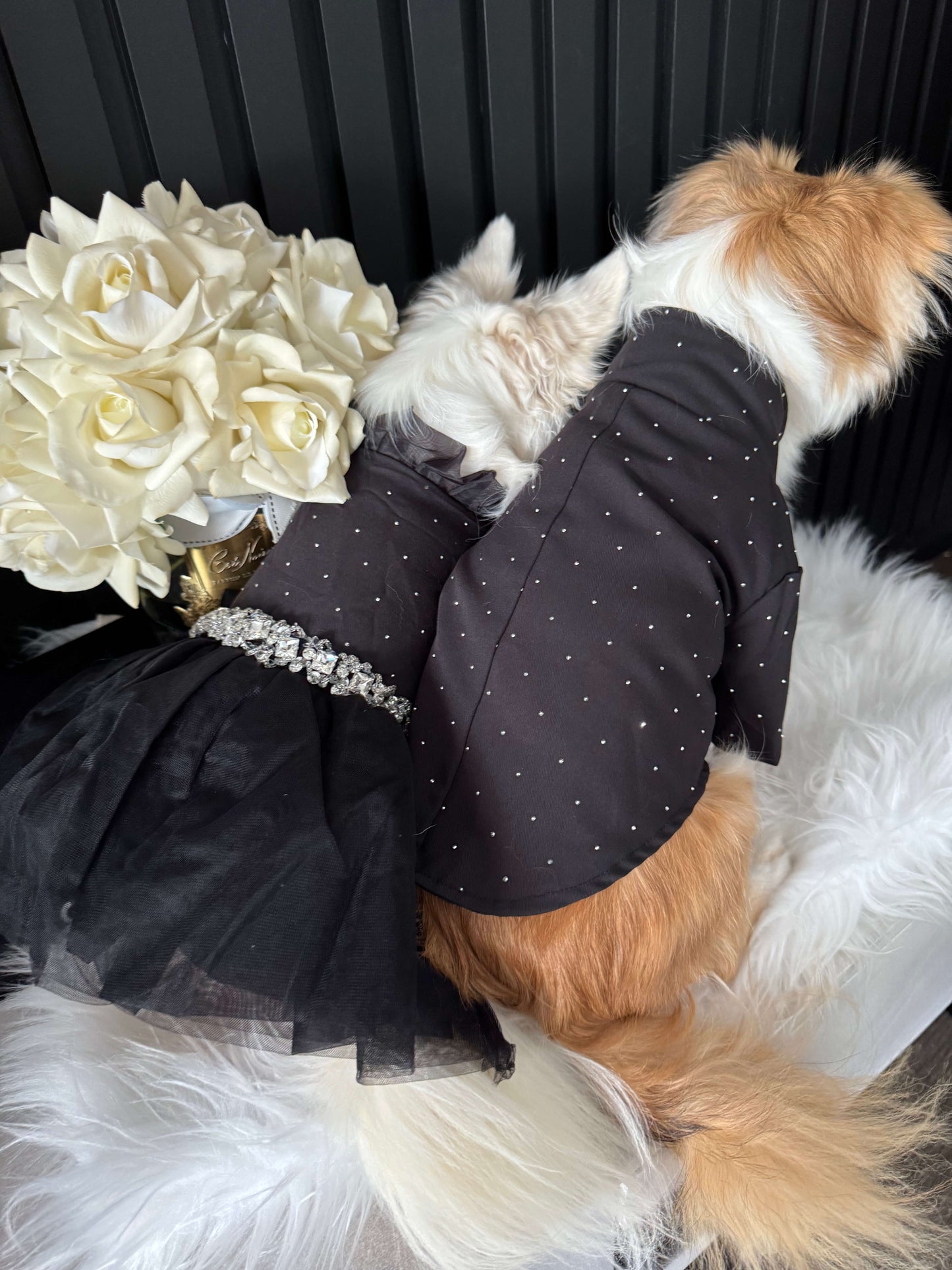 Noir Atelier Couture Jacket