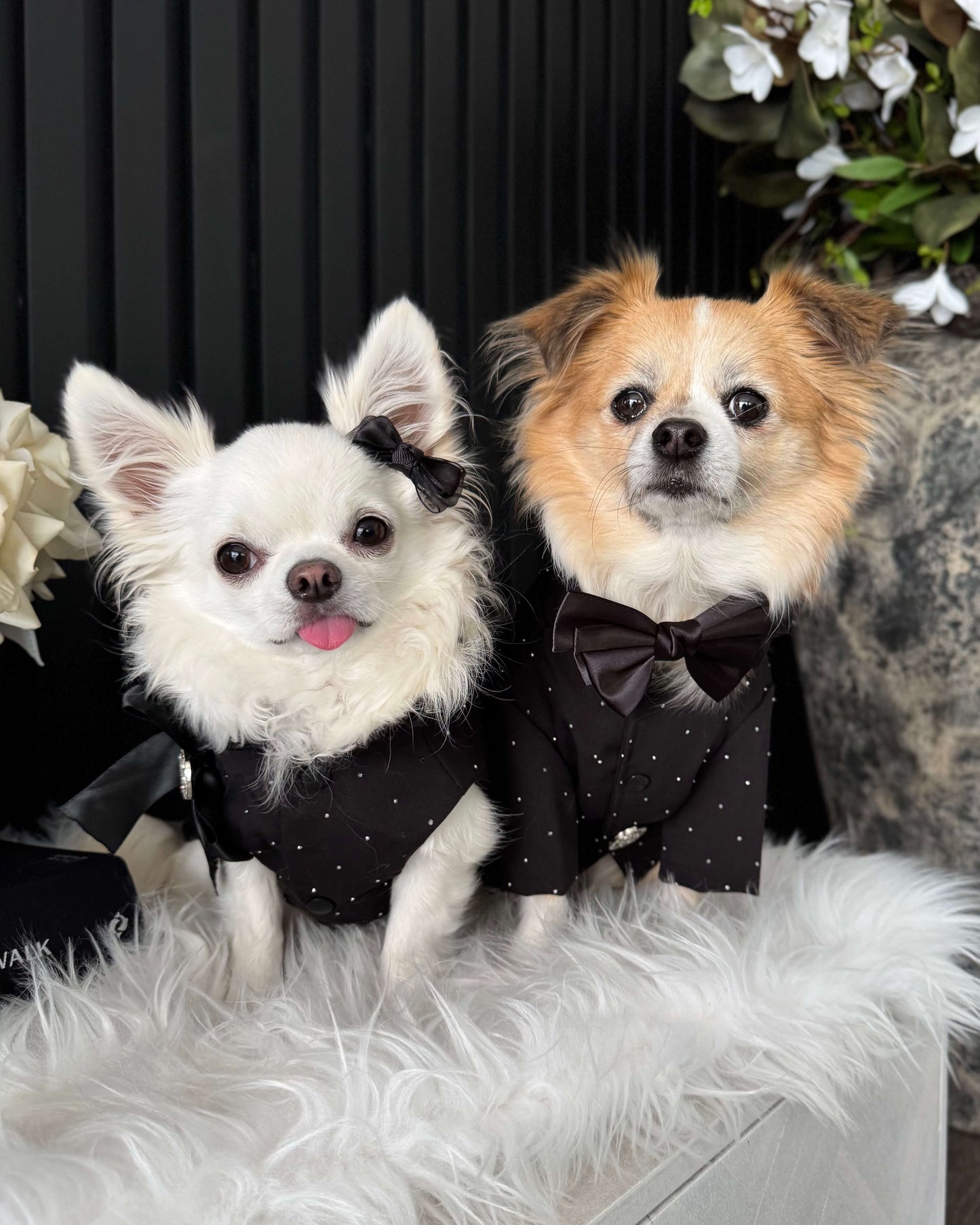 Noir Atelier Couture Jacket