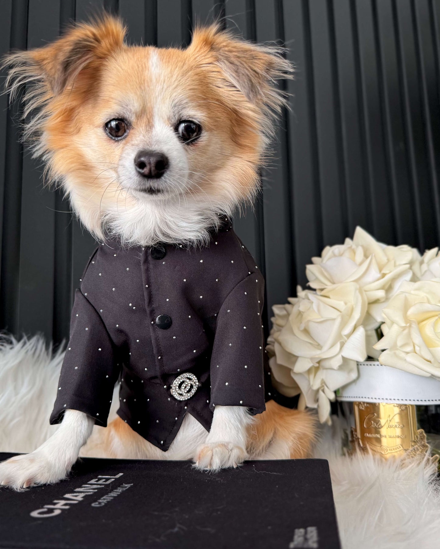 Noir Atelier Couture Jacket