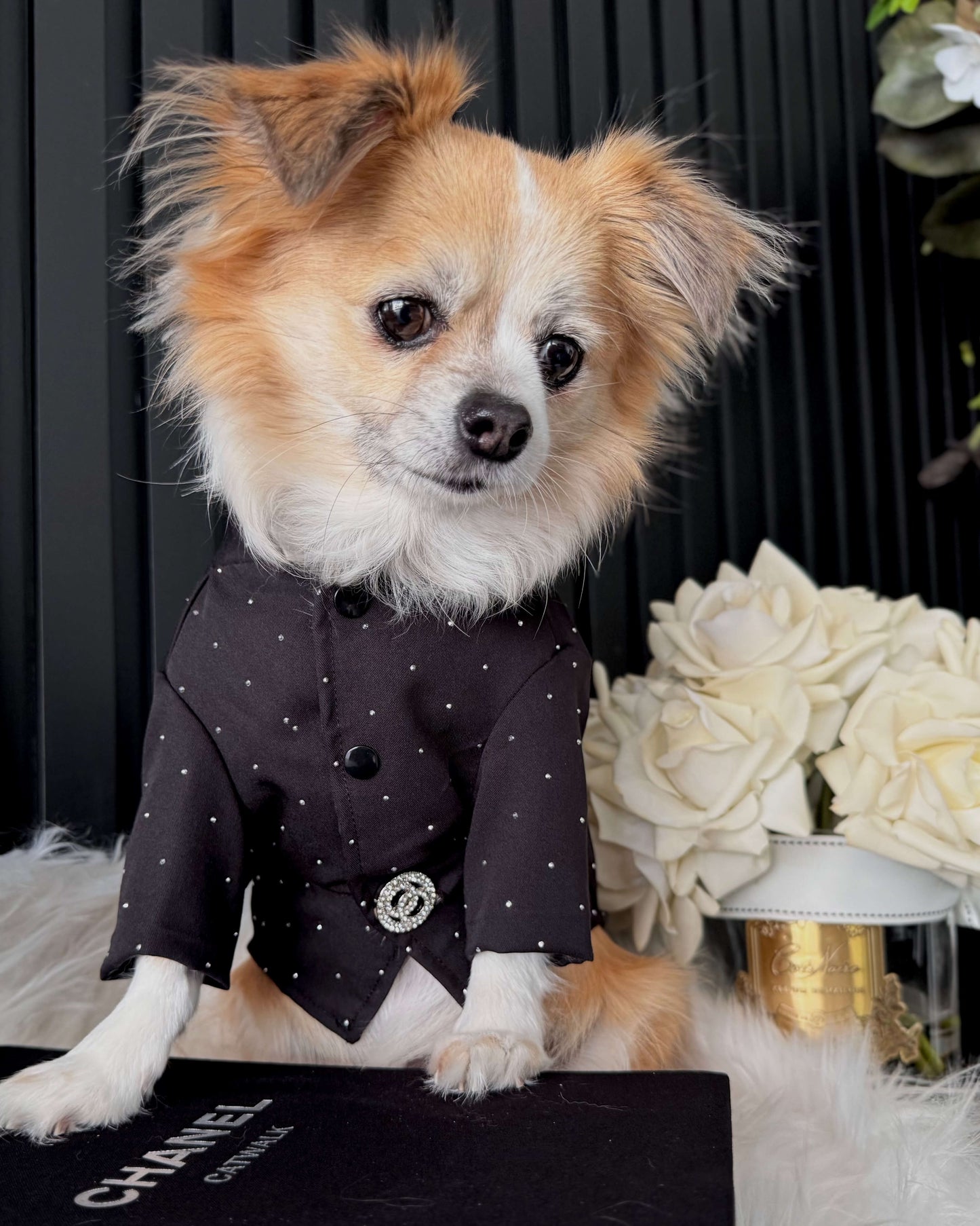 Noir Atelier Couture Jacket