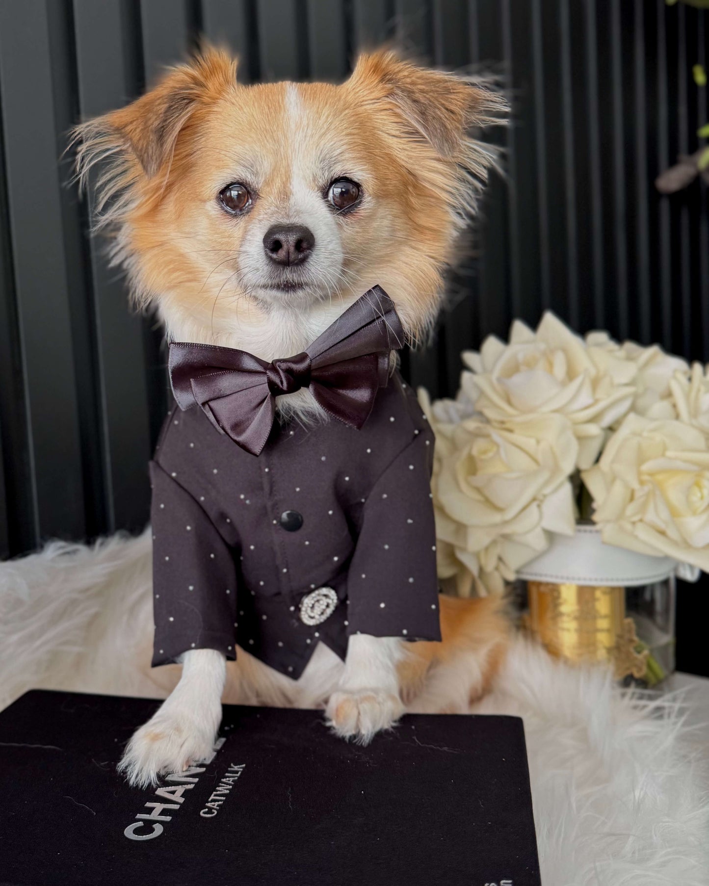 Noir Atelier Couture Jacket