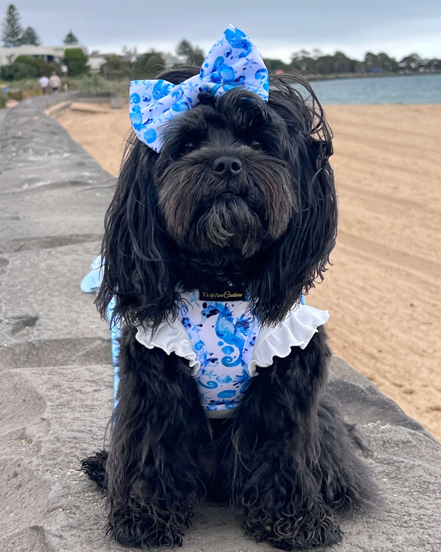 Wet'n'Wild Seahorse Step In Vest Harness