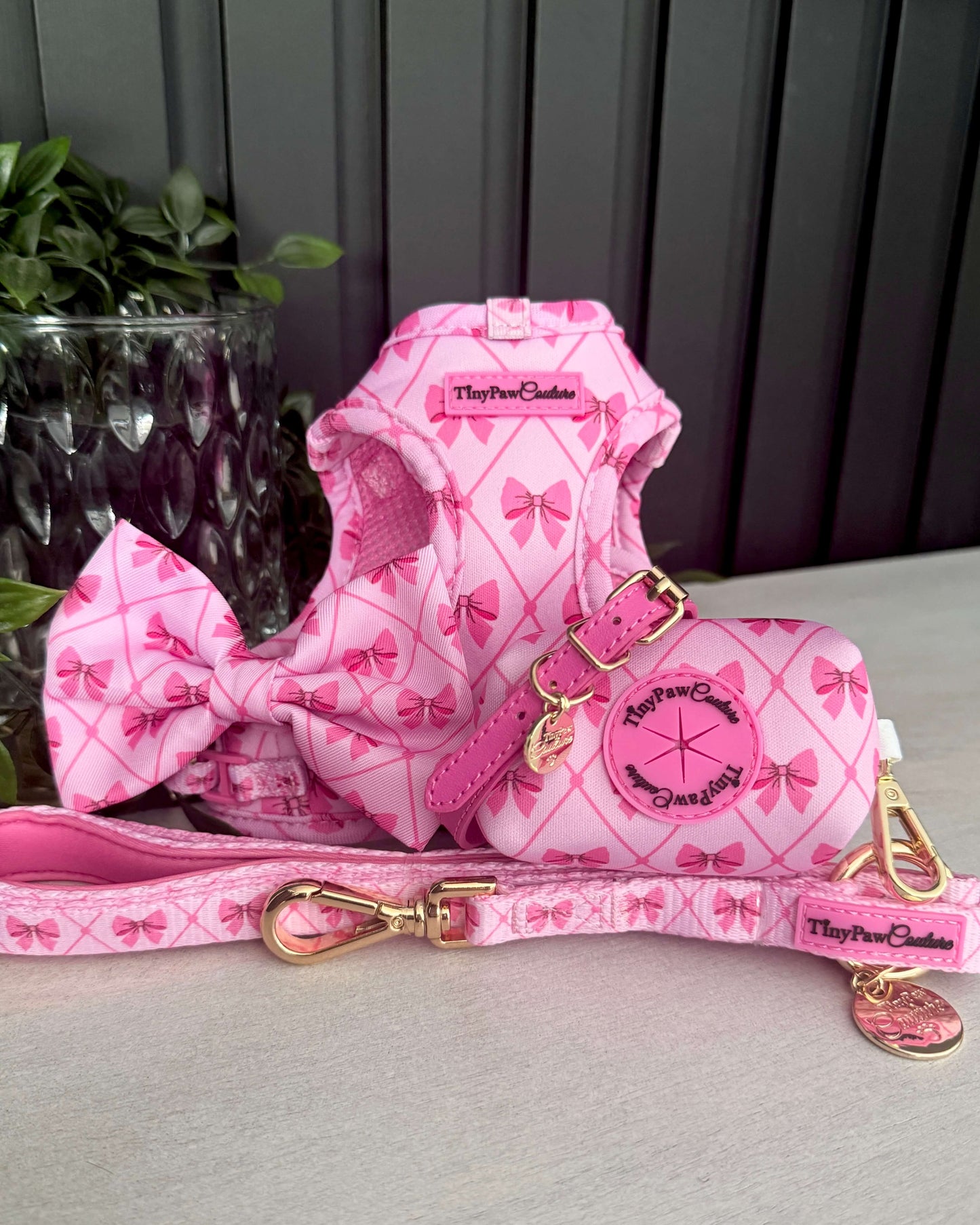 Wet'n'Wild Valentina Bow Set