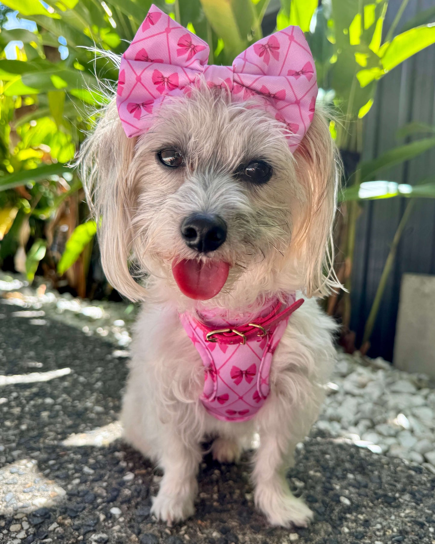 Wet'n'Wild Valentina Bow