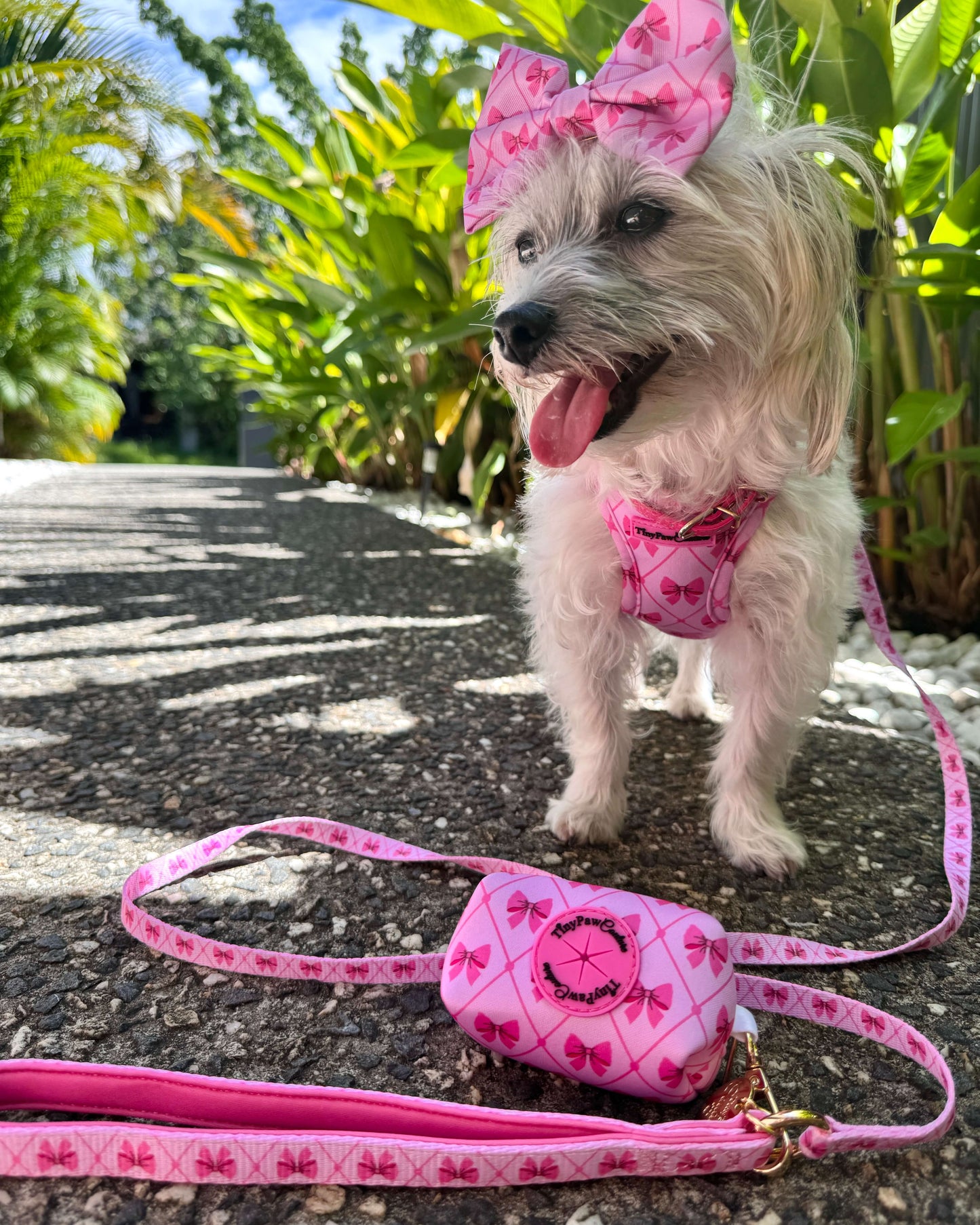 Wet'n'Wild Valentina Bow Lead