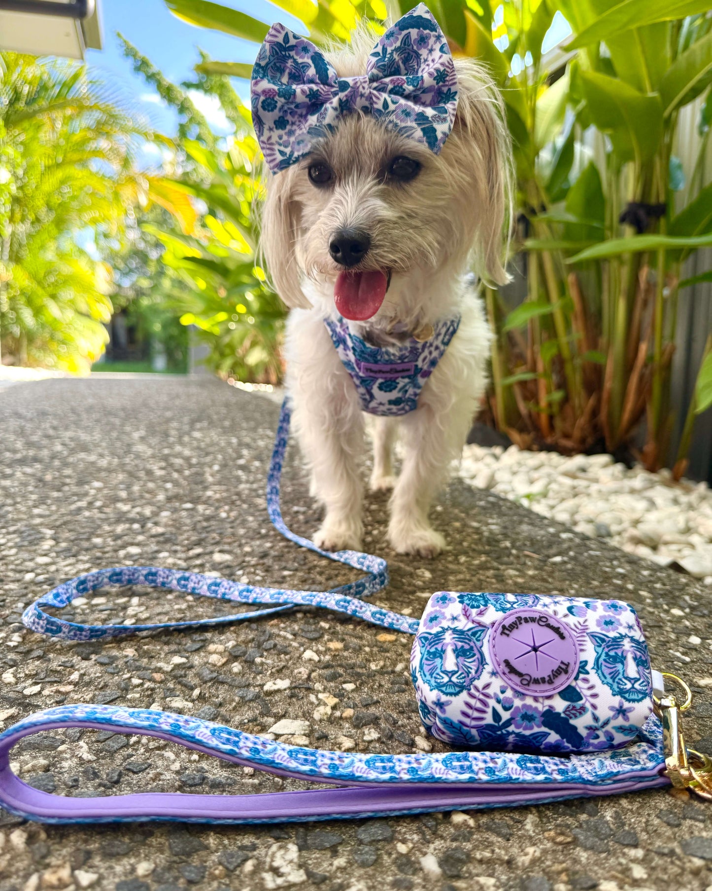 Wet'n'Wild Azure Huntress Lead