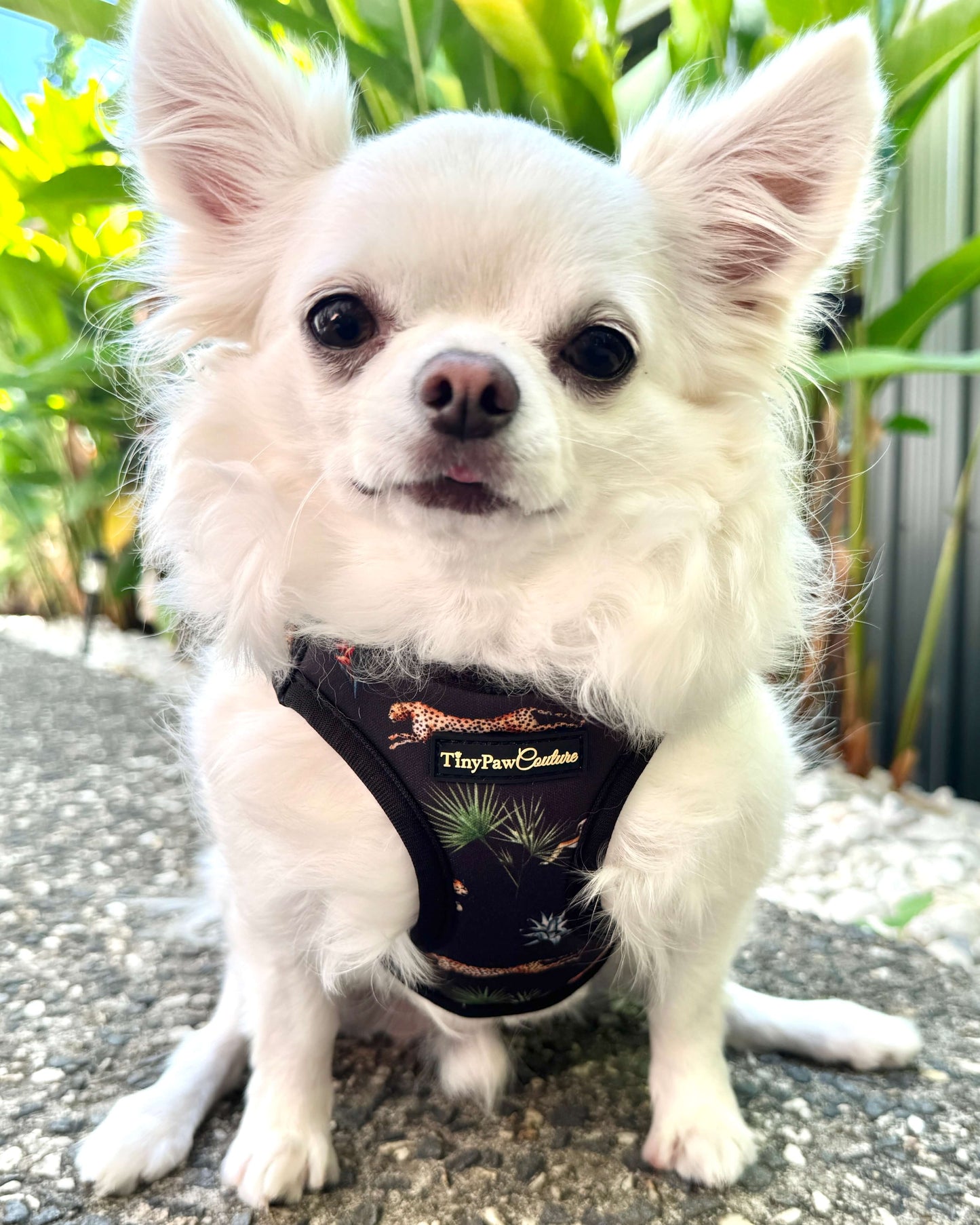 Wet'n'Wild Regal Safari Harness