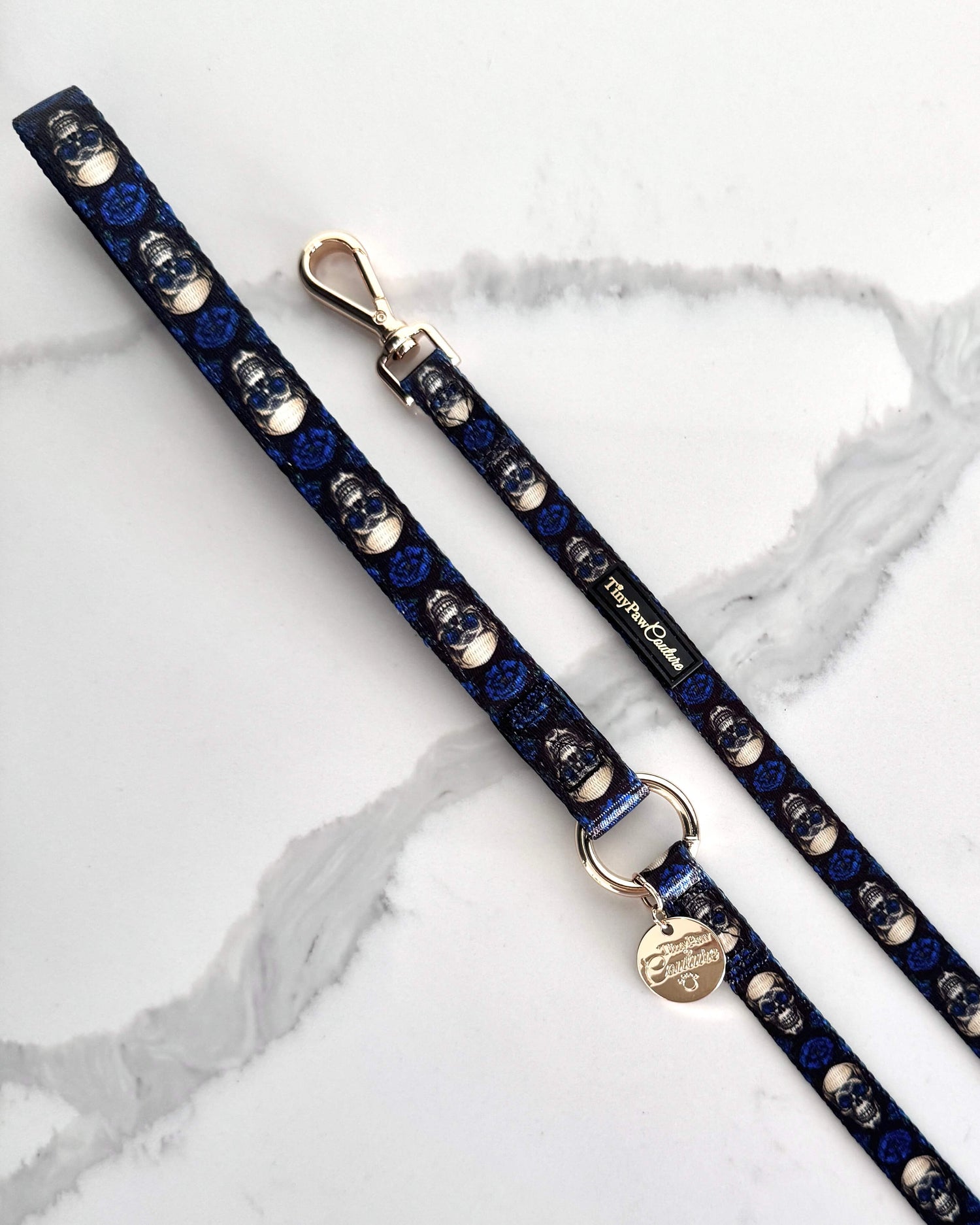 Leads