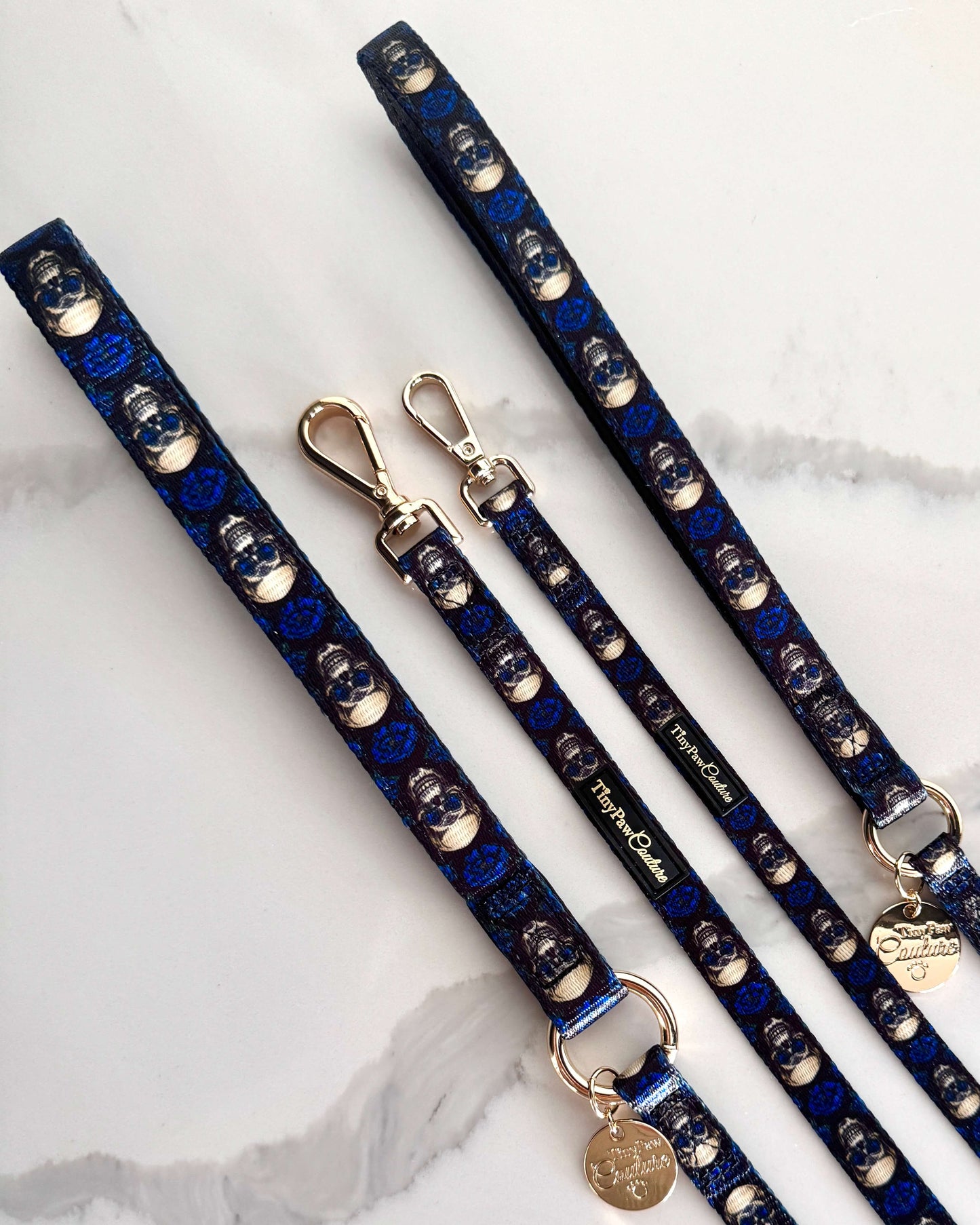 Wet'n'Wild Midnight Rebellion Lead
