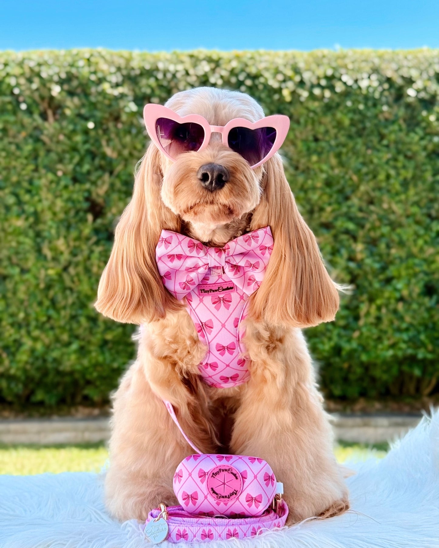 Wet'n'Wild Valentina Bow Set