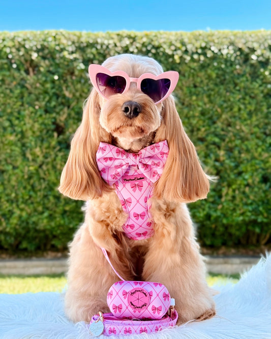 Wet'n'Wild Valentina Bow Set