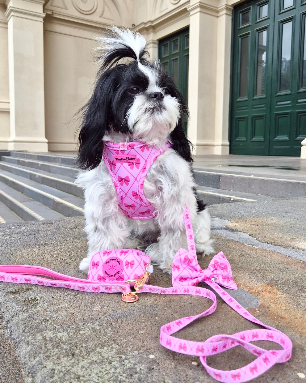 Wet'n'Wild Valentina Bow Set