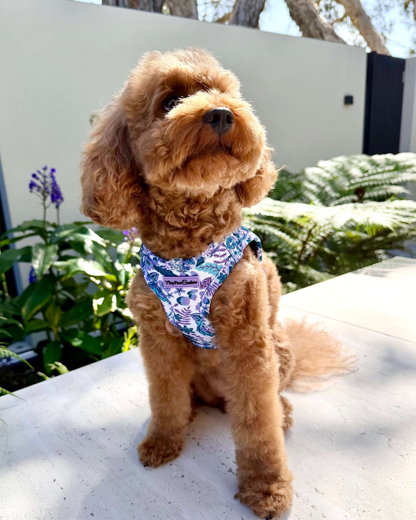 Wet'n'Wild Azure Huntress Harness