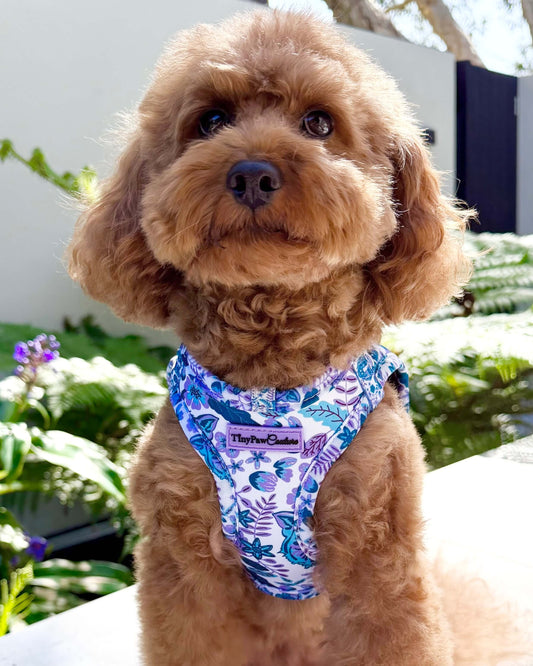 Wet'n'Wild Azure Huntress Harness