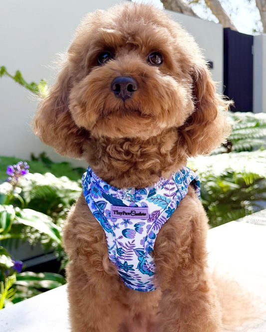 Wet'n'Wild Azure Huntress Harness