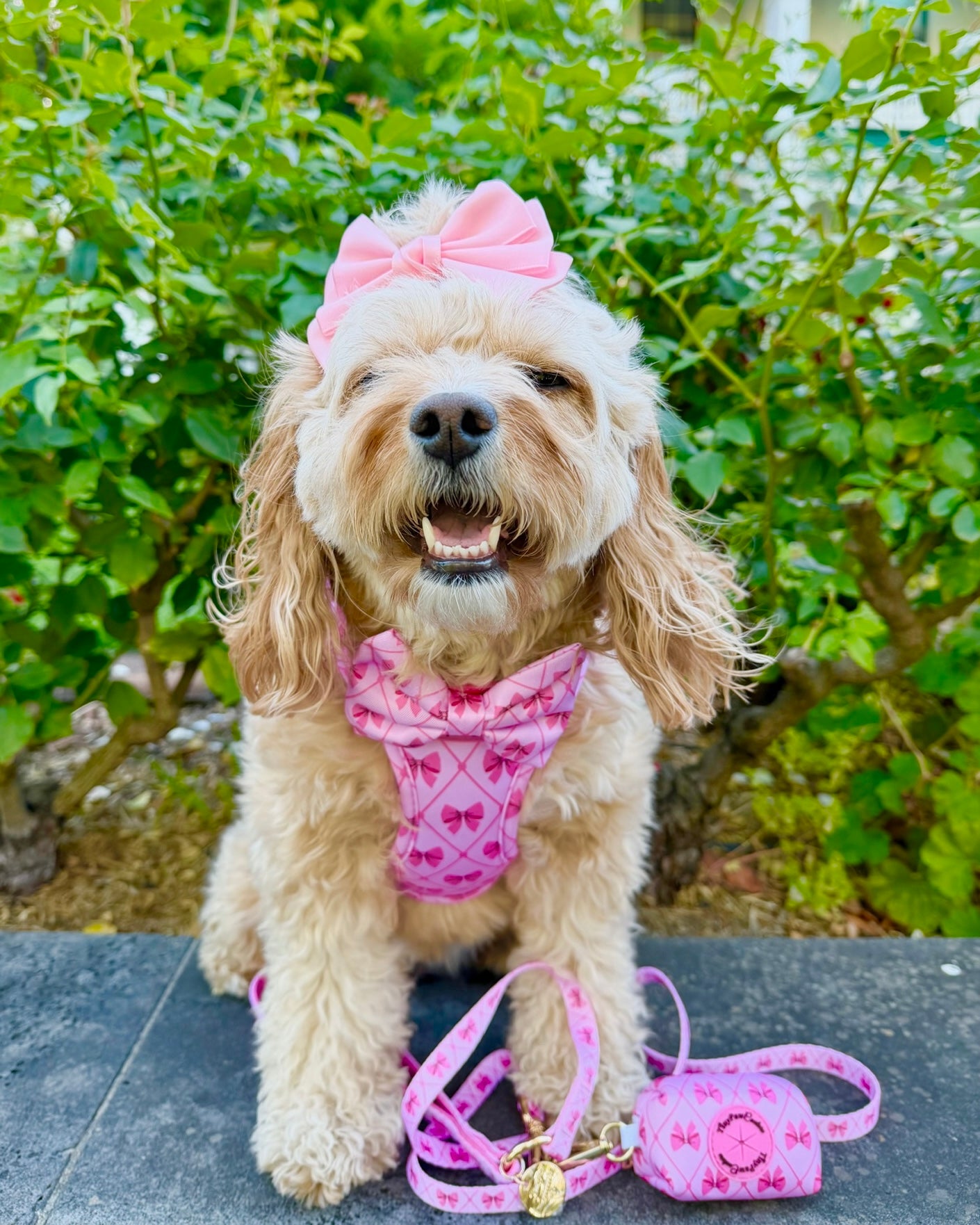 Wet'n'Wild Valentina Bow Set