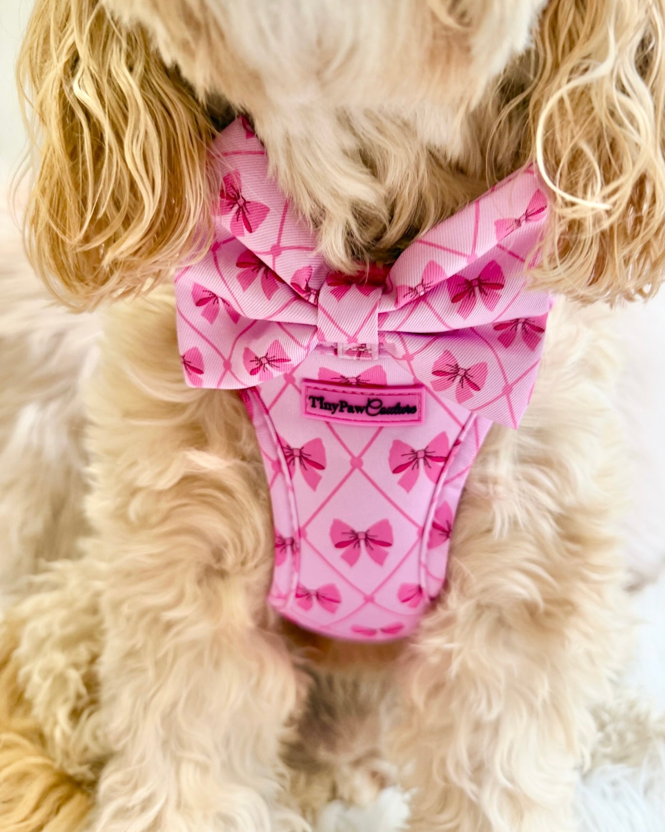 Wet'n'Wild Valentina Bow Harness