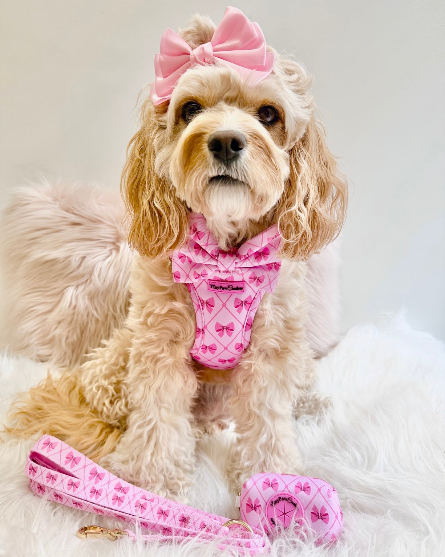 Wet'n'Wild Valentina Bow Harness