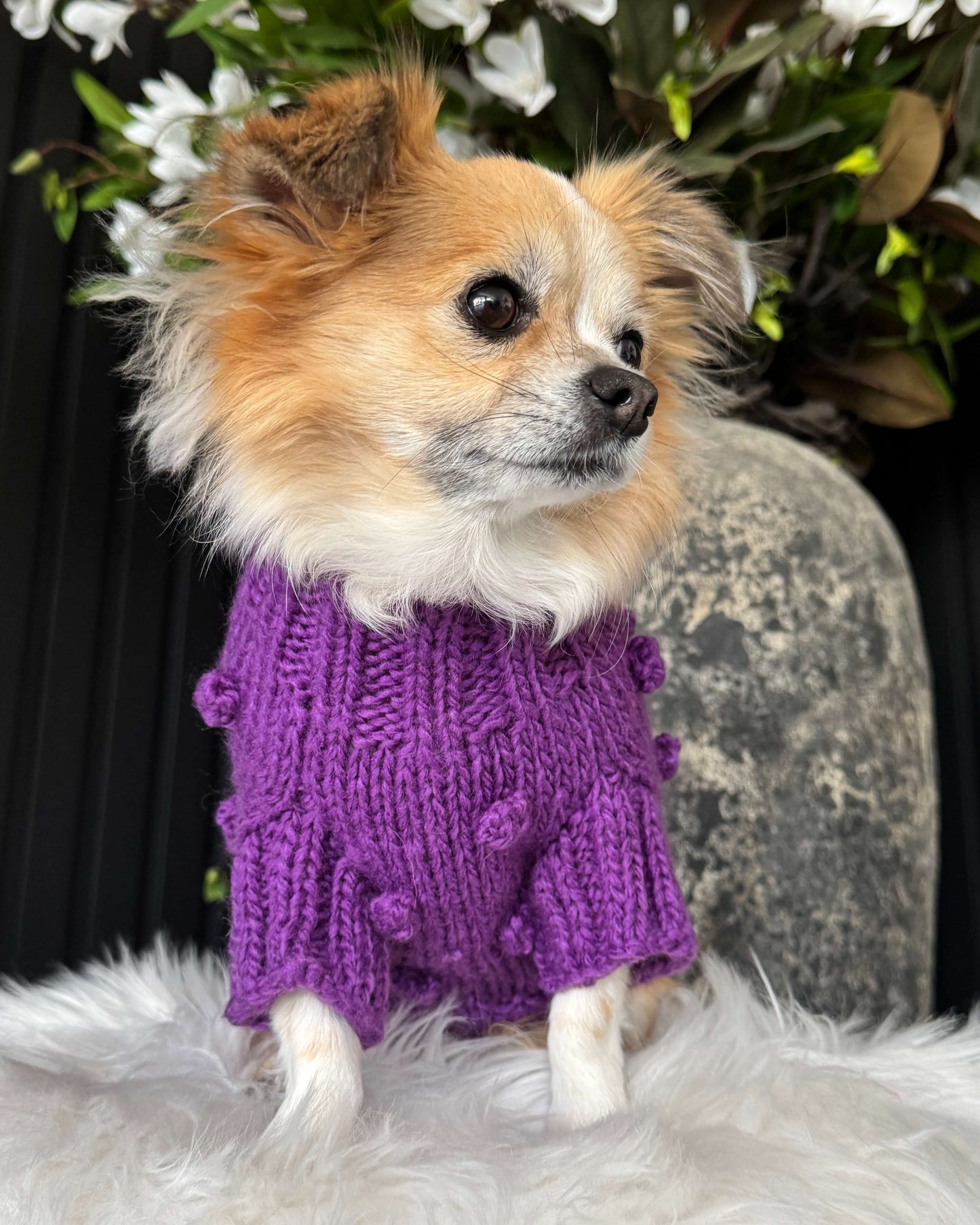 Pom Pom Knit Purple