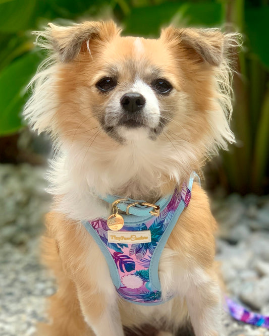 Wet'n'Wild Tropical Step In Vest Harness