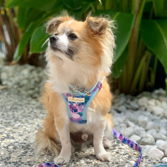 Wet'n'Wild Tropical Step In Vest Harness