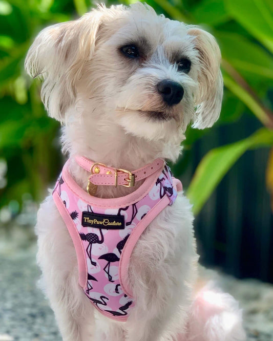 Little Luxe Flamingos Step In Vest Harness