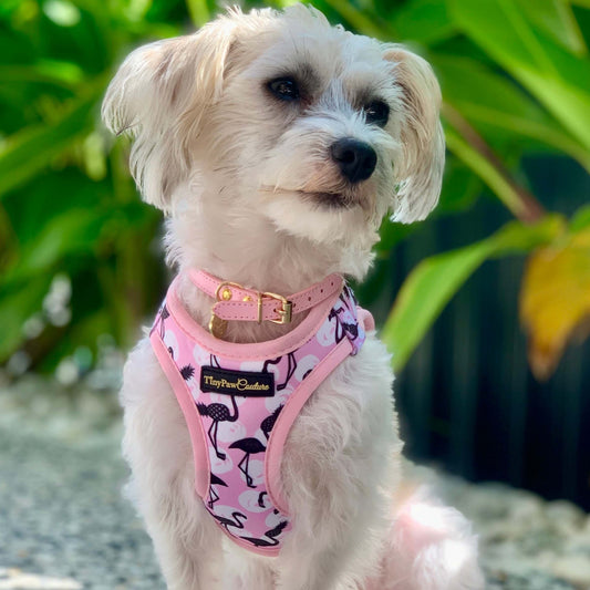 Little Luxe Flamingos Step In Vest Harness