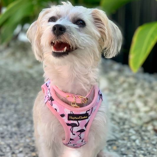 Little Luxe Flamingos Step In Vest Harness
