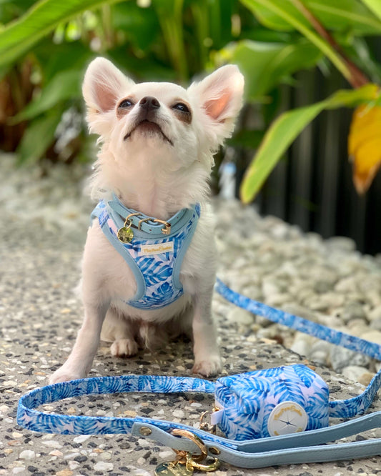 Little Luxe Blue Leaf Step In Vest Harness