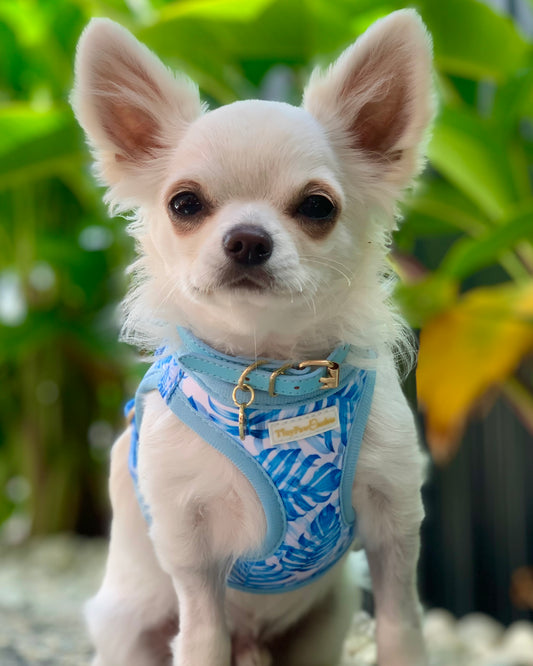 Little Luxe Blue Leaf Step In Vest Harness