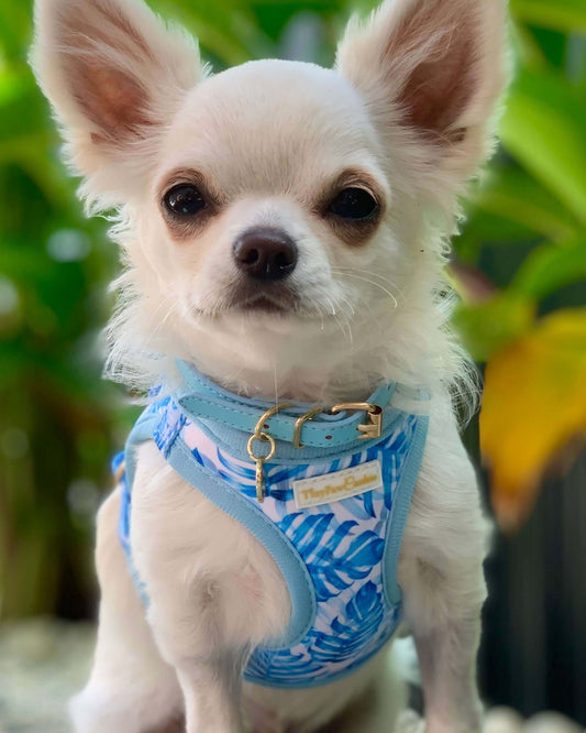 Little Luxe Blue Leaf Step In Vest Harness